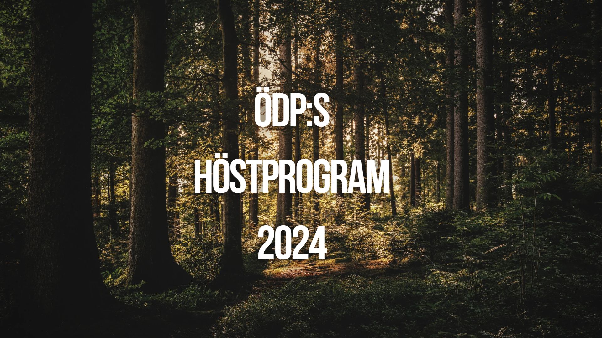 Läs mer om artikeln ÖDP höstprogram 2024